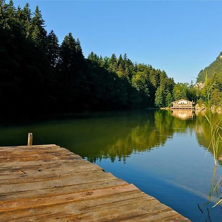 Alpapart Schneider Alpbach Exteriér fotografie