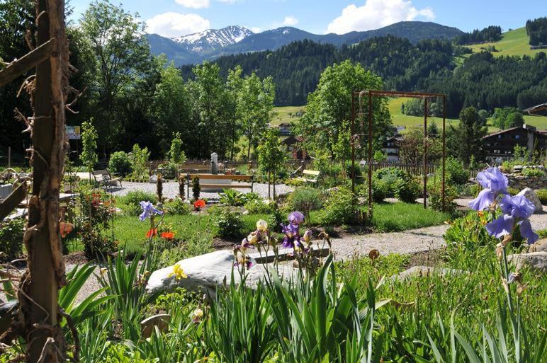 Alpapart Schneider Alpbach Exteriér fotografie